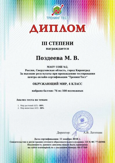 диплом за тест.pdf.jpeg