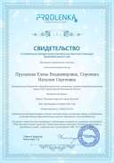Сертификат - Визитная карточка г. Королёв.jpg