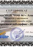 скоростной веб серфинг 22.jpg