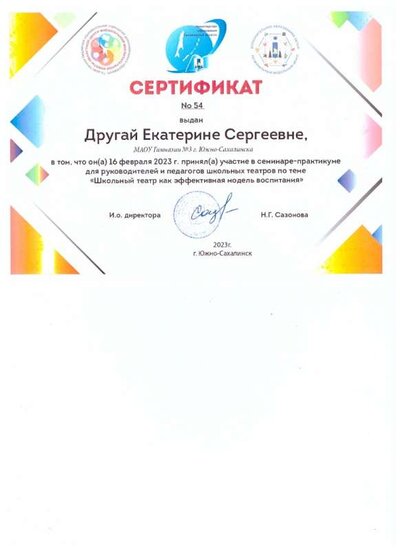 Сертификат Семинар-практикум.jpeg