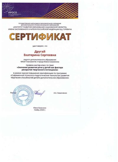 Сертификат о проведении мастер-класса.jpeg