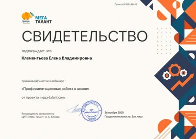Свидетельство. Профориентационная работа в школе.jpg