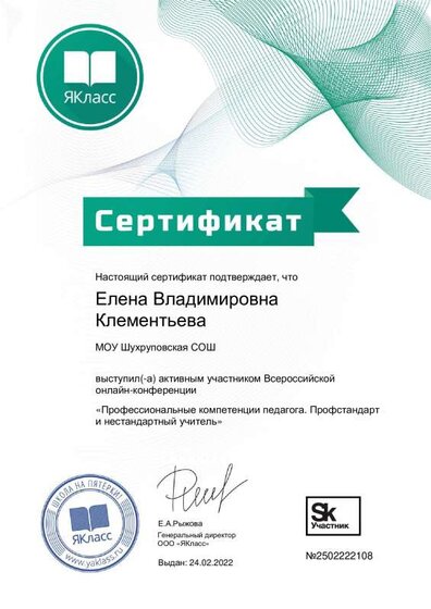 Сертификат Профессиональные компетенции педагога. Профстандарт и нестандартный учитель.pdf.jpeg