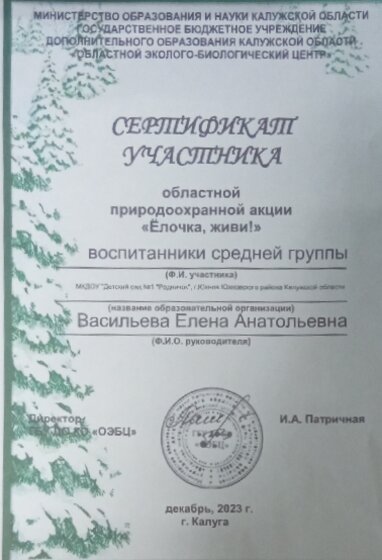 СЕРТИФИКАТ С КОНКУРСА ЕЛОЧКА ЖИВИ.jpg