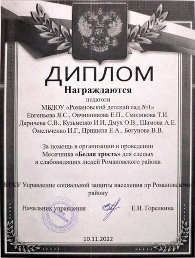 Белая трость.jpeg