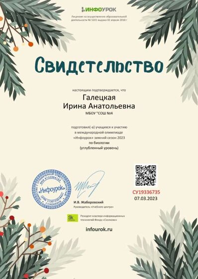 Свидетельство проекта infourok.ru №СУ19336735.jpg