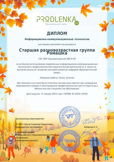 ikt_diploma.pdf.jpeg