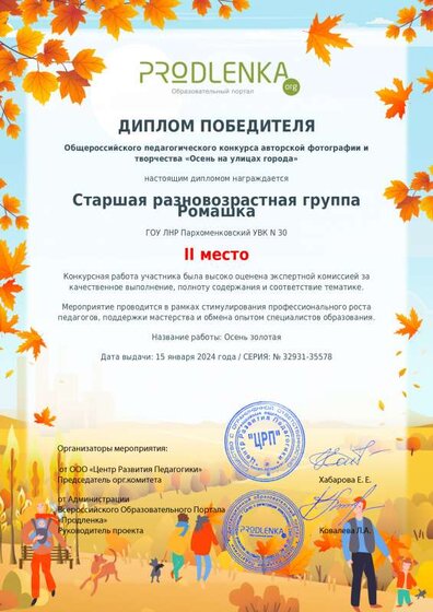 winner_diploma.pdf.jpeg