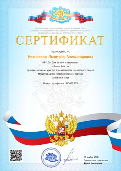 сертификат 2019 -2020 уч. год экспертный совет.jpg