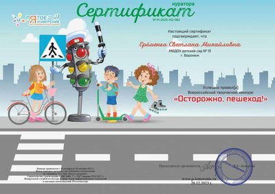 82_СЕРТИФИКАТ КУРАТОРА.jpg