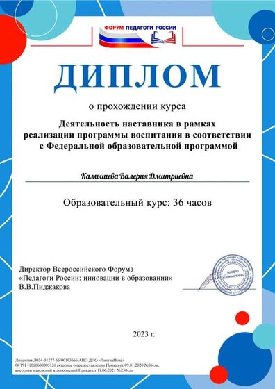 Камышева Валерия Дмитриевна 5.pdf.jpeg