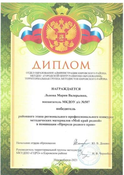 диплом победитель.jpg