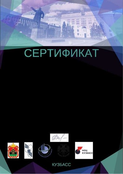Шнейдер certificate-7.pdf.jpeg