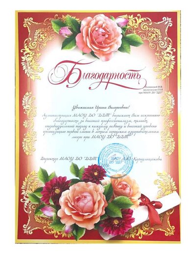 2022 Благодарность ДДТ.pdf.jpeg