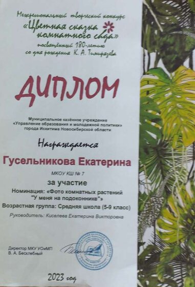 1708062924795.jpg