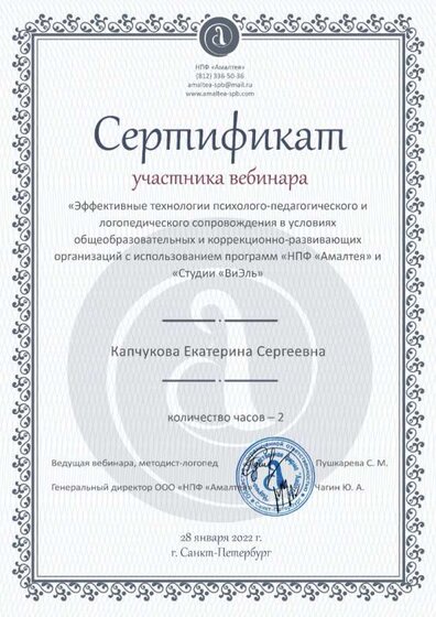 Эффективные технологии психолого-педагогического и логопедического сопровождения в условиях общеобразовательных и коррекционно-развивающих организаций.jpg