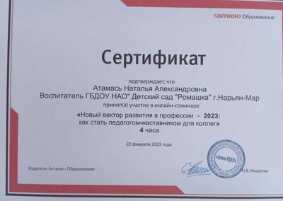 1709993743208.jpg