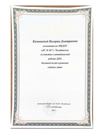 Камышевой Валерии Дмитриевне.pdf.jpeg