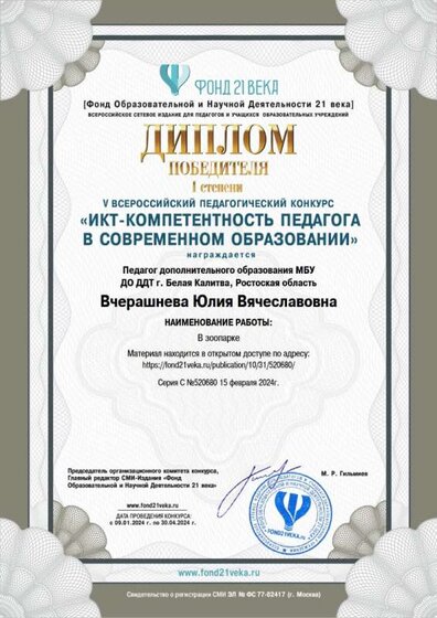 диплом победителя.jpg