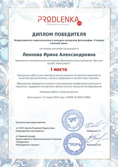 ДИПЛОМ. 1 место снежная зима.pdf.jpeg