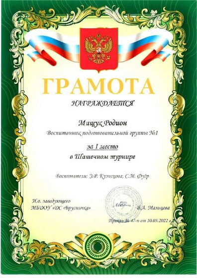 шаш турнир в доу родион..pdf.jpeg