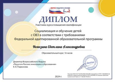 Ноянзина Светлана Александровна итог.pdf.jpeg