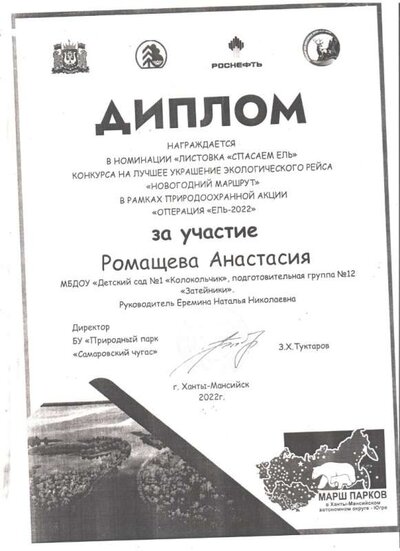 операция ель.jpg