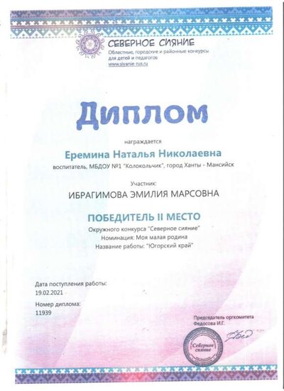 северное сияние.jpg
