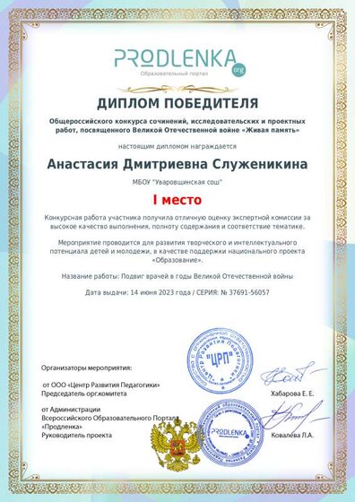 winner_diploma.pdf.jpeg
