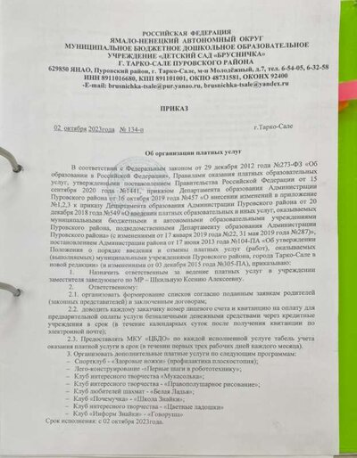 приказ цв.ладошки 1 стр..PNG