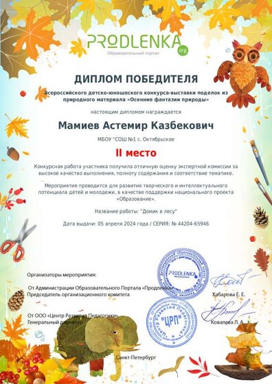 winner_diploma.pdf.jpeg