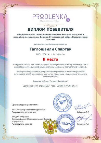 winner_diploma.pdf.jpeg