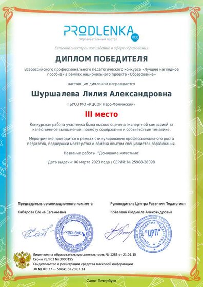 winner_diploma (2).pdf.jpeg
