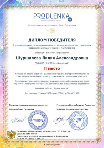 winner_diploma.pdf.jpeg