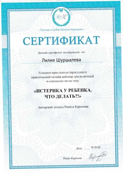 Сертификат вебинара.pdf.jpeg