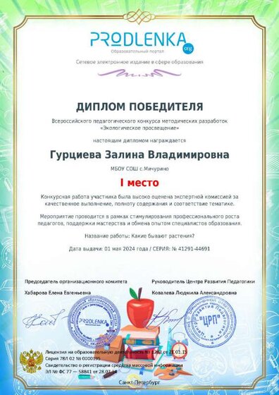 winner_diploma.jpg
