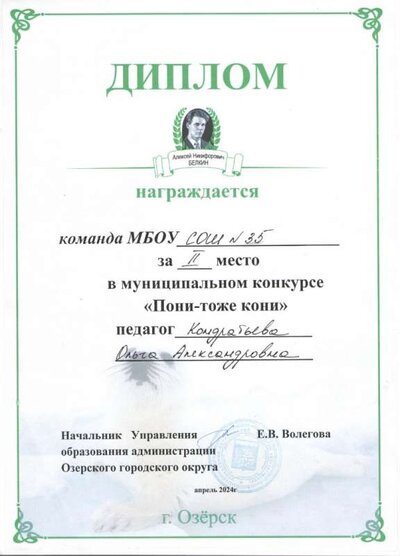 пони.jpeg