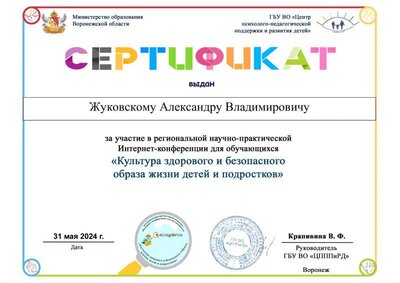 сертификат-участника-интернет-конференции-2024.jpg