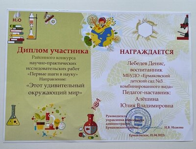 Лебедев Денис.jpg