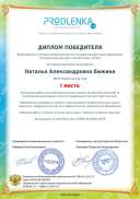 winner_diploma.pdf.jpeg