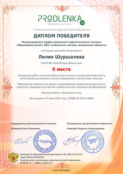 winner_diploma (2).pdf.jpeg