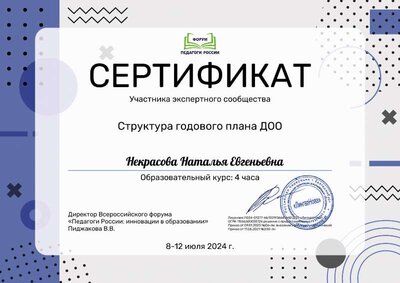 Некрасова Наталья Евгеньевна_2AM.pdf.jpeg
