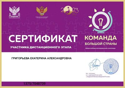 команда большой страны.png