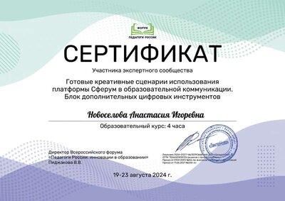 Сертификат Новоселова Анастасия Игоревна_fpH (2).pdf.jpeg
