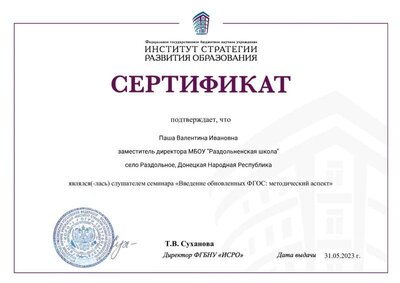 сертификат Паша В.И. (1).pdf.jpeg