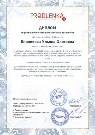 ikt_diploma.pdf.jpeg