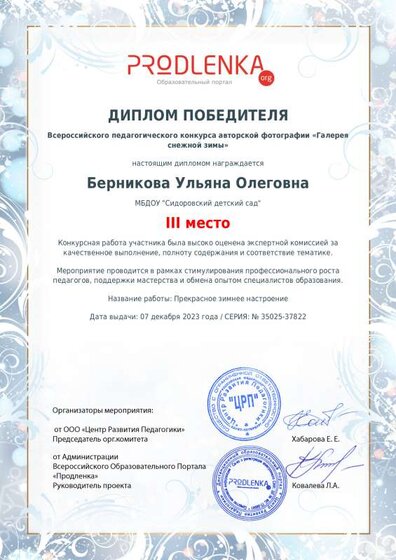 winner_diploma.pdf.jpeg