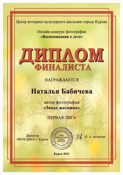 Диплом победителя-Бабичева Н.и.-фотоконкурс.jpg