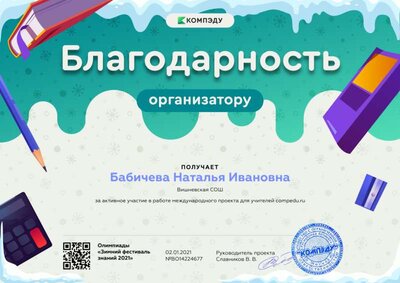 Бабичева Наталья Ивановна - благодарность организатору.png