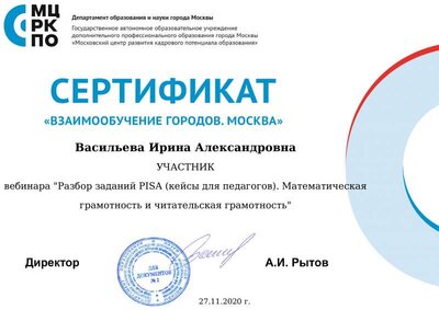 Сертификат 27.11.2020 Васильева Ирина Александровна.pdf.jpeg